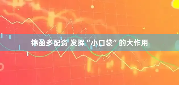 锦盈多配资 发挥“小口袋”的大作用