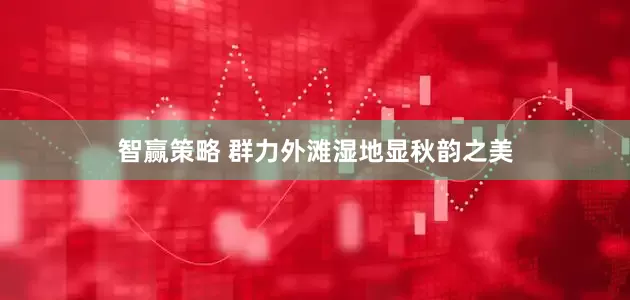 智赢策略 群力外滩湿地显秋韵之美