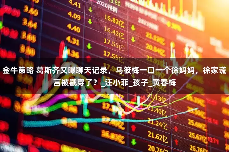 金牛策略 葛斯齐又曝聊天记录，马筱梅一口一个徐妈妈，徐家谎言被戳穿了？_汪小菲_孩子_黄春梅
