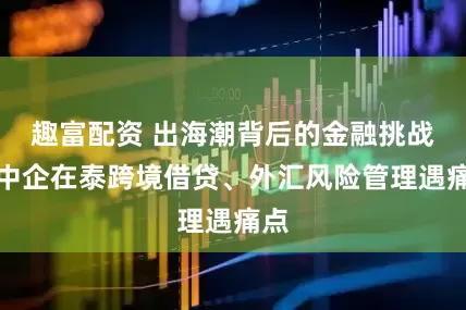 趣富配资 出海潮背后的金融挑战：中企在泰跨境借贷、外汇风险管理遇痛点